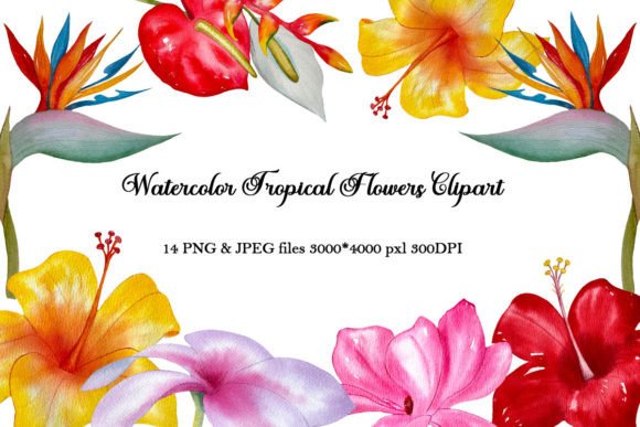 Elevating Digital Design with High-Resolution Watercolor Tropical Flowers Clipart PNG