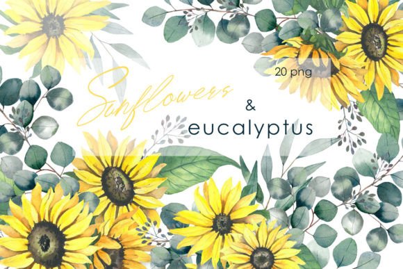 Sunflowers & Eucalyptus Watercolor Clipart
